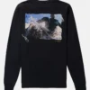 バートン ヘビーウェイト フォト ロングスリーブ Tシャツ